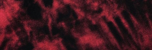 Prince Innocence banner