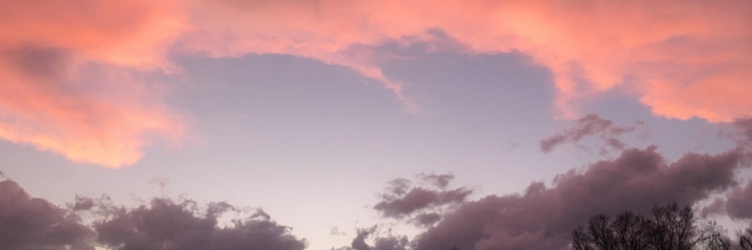 Camo_Spider's profile banner image
