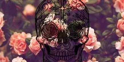 Micaa_W's profile banner image