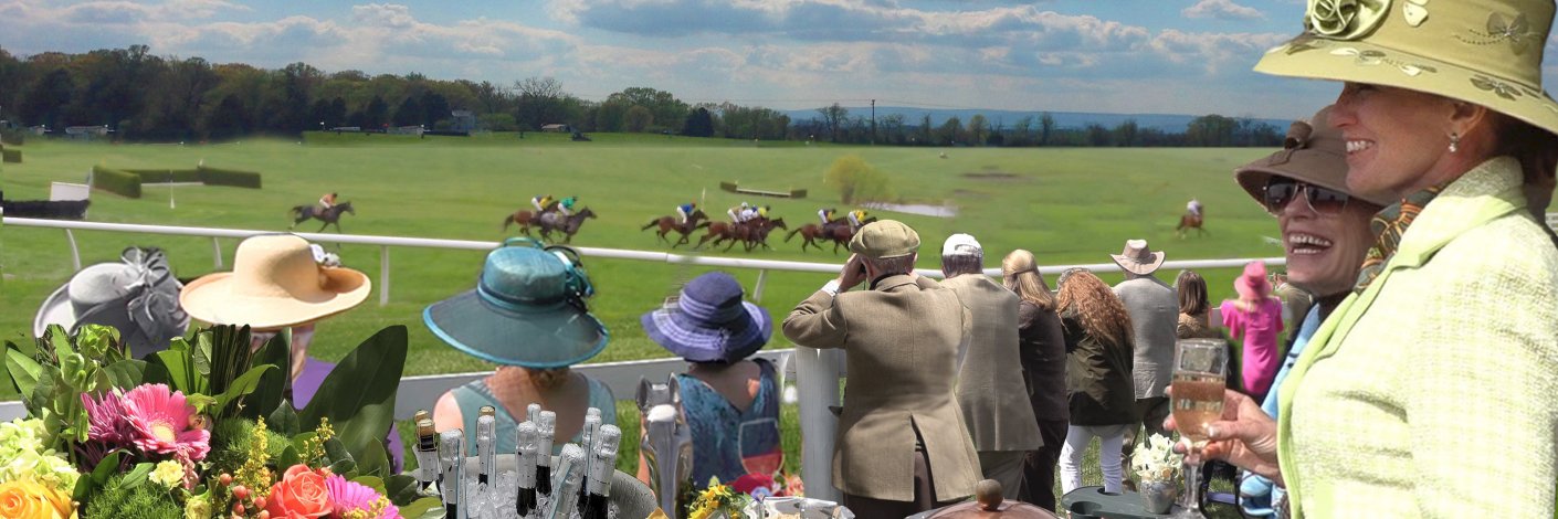 Middleburg Races banner