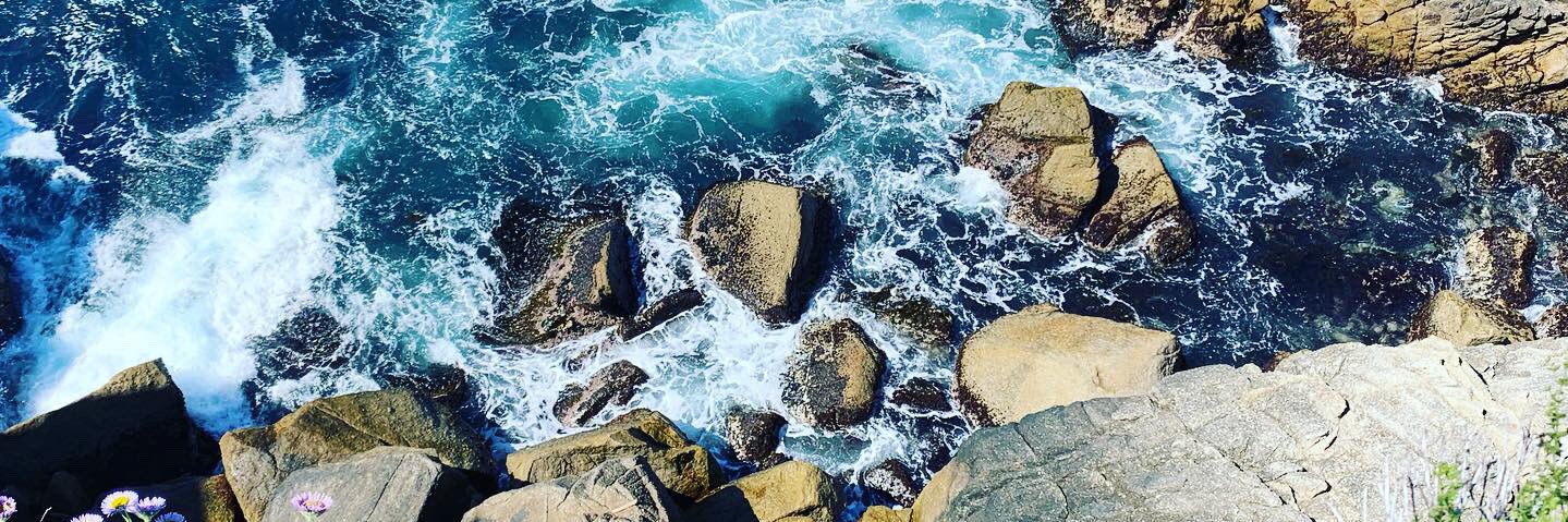 Phoenix Logan banner