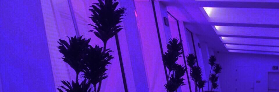 LottieRecor's profile banner image