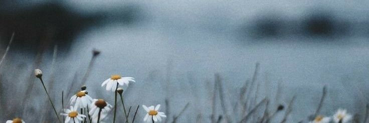 * banner