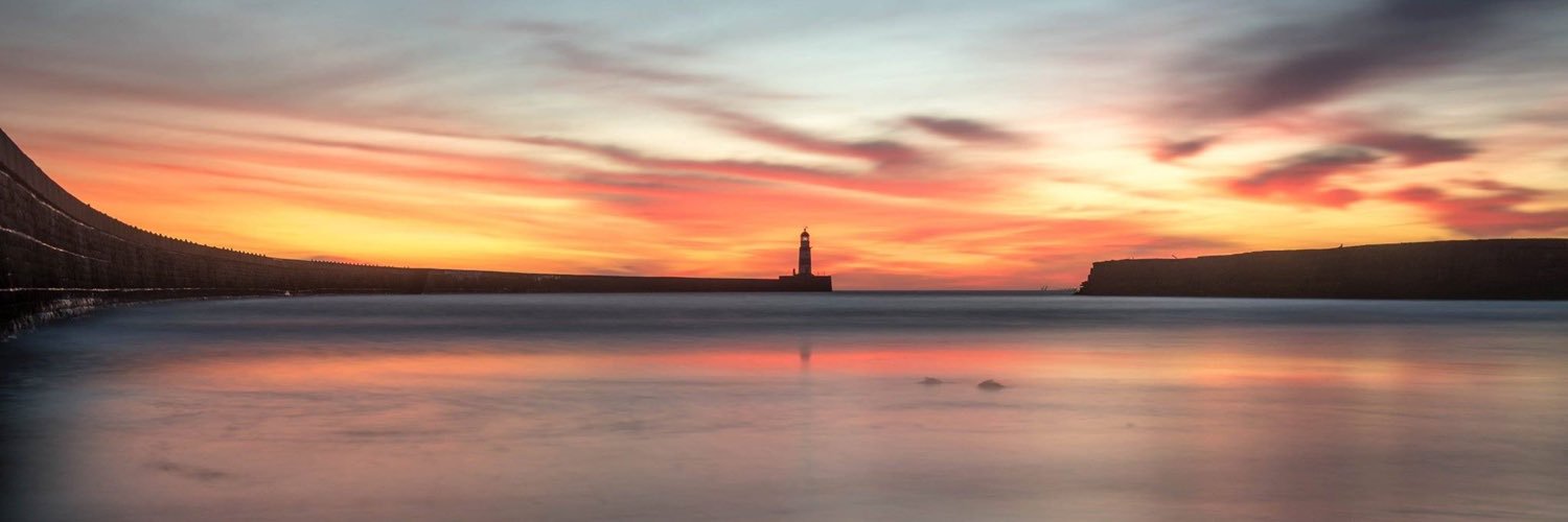 Diane Fenwick banner