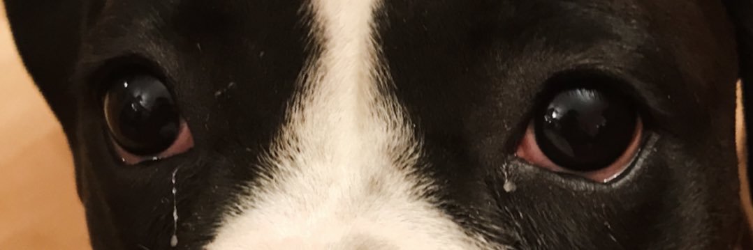 Jake Green banner
