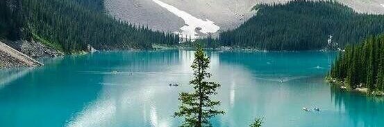 Justin Morris banner