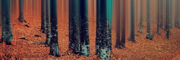 Bortolozzo_'s profile banner image