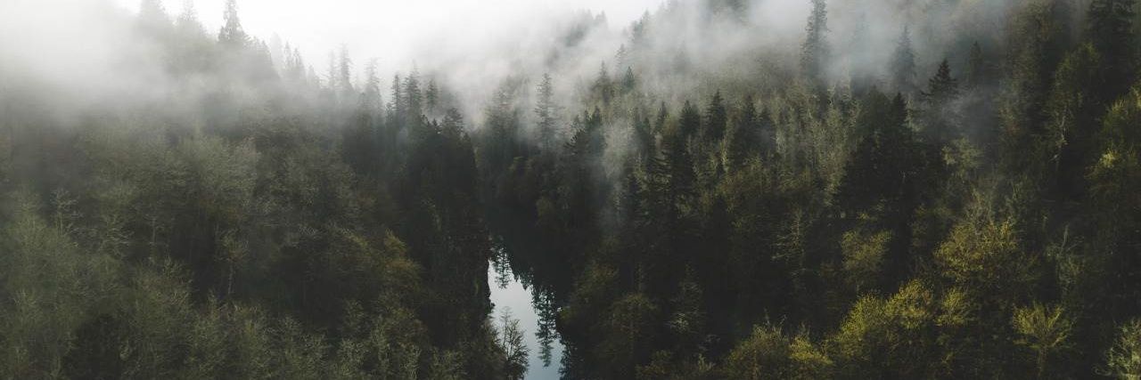 NicoleJustBc's profile banner image