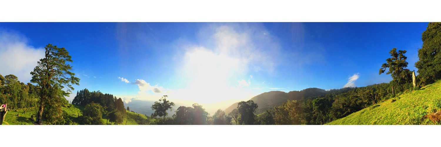 sofiacvd's profile banner image