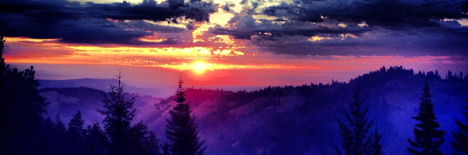 ShawnHepler's profile banner image