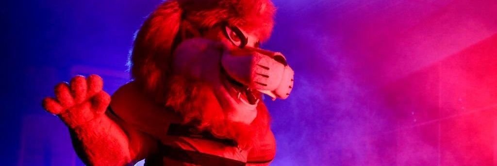 matuto banner