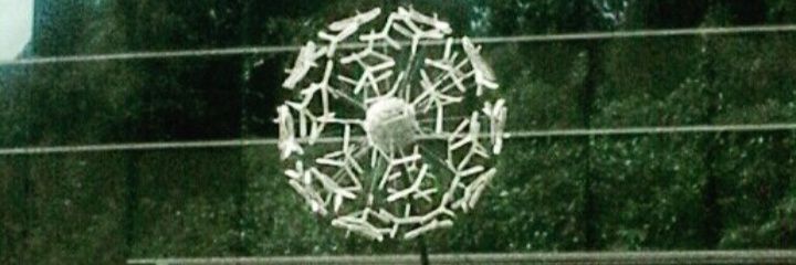 ely_risma's profile banner image