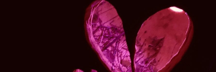 mfjayy__'s profile banner image