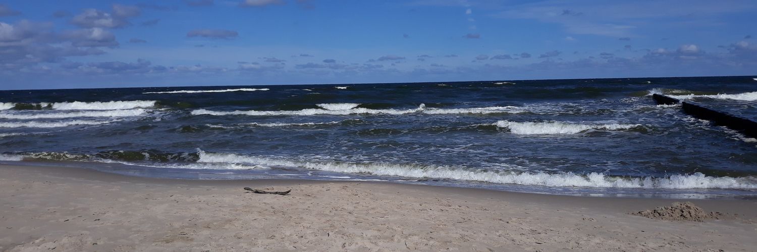 L35Z3K's profile banner image