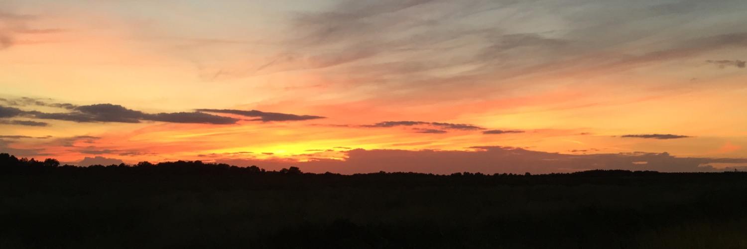 dupre_jj's profile banner image