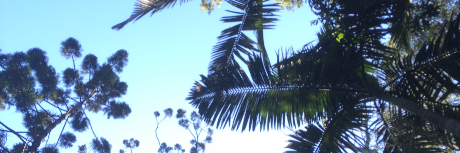 itskahooooo's profile banner image