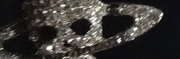 MADITCHIDA's profile banner image