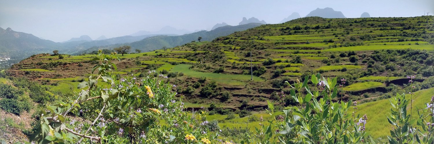 Victoria Strokova banner