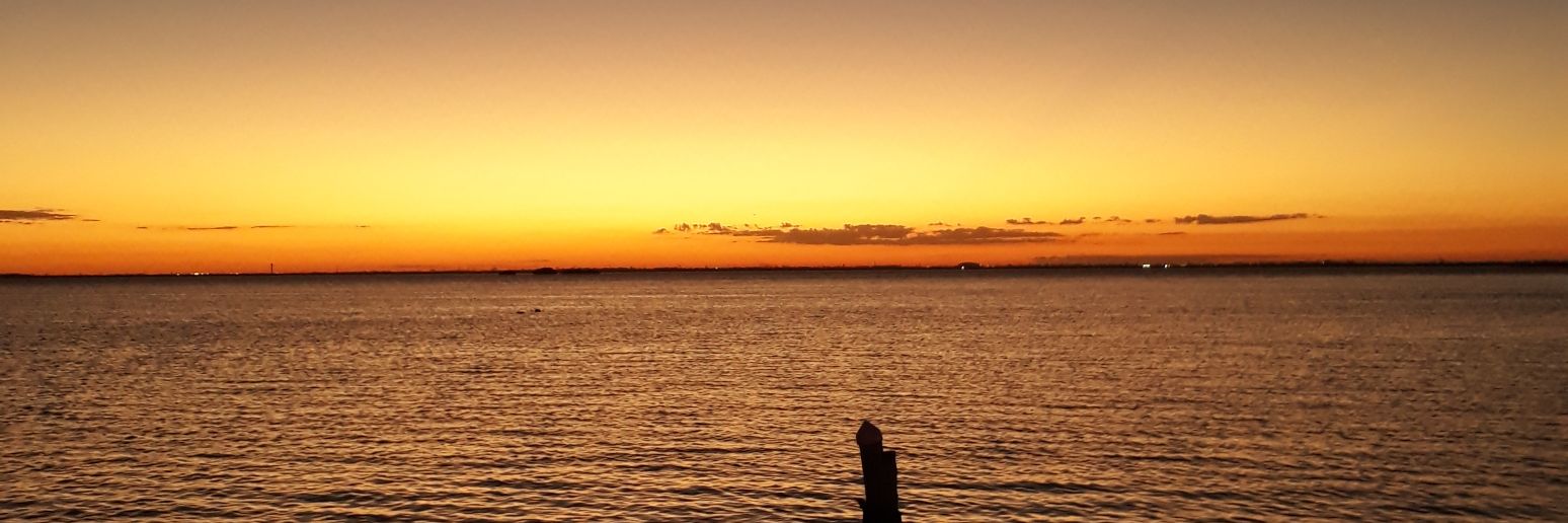 AlviRomeroB's profile banner image