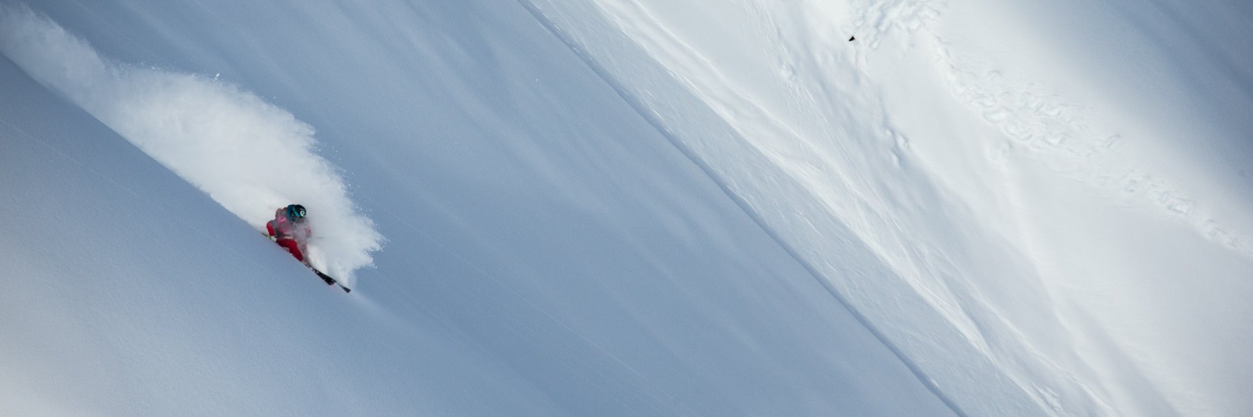 EvaWalkner's profile banner image