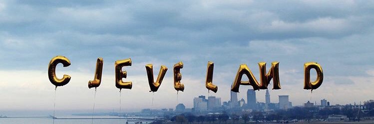 Laura Mayer banner