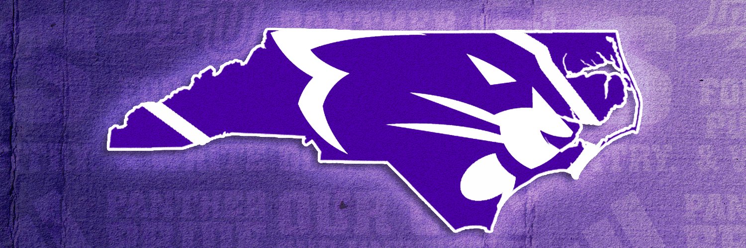 High Point Panthers banner