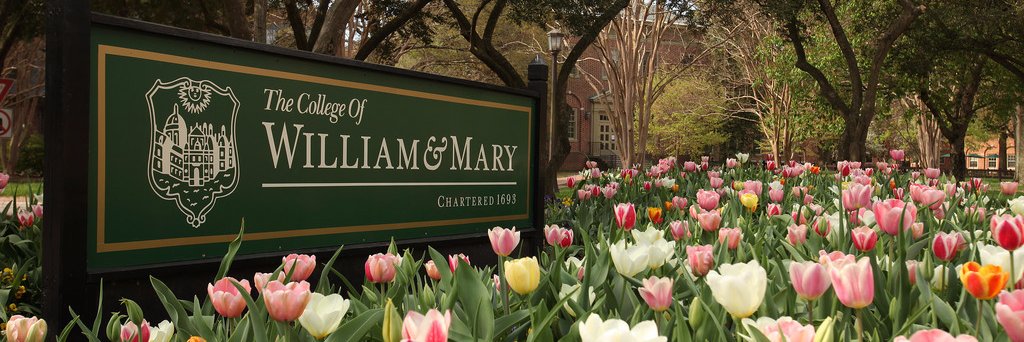 Cate Agnew CRE FRICS banner