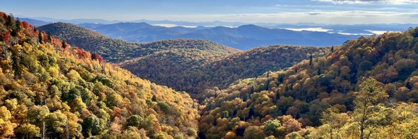 katiewadington Profile Banner