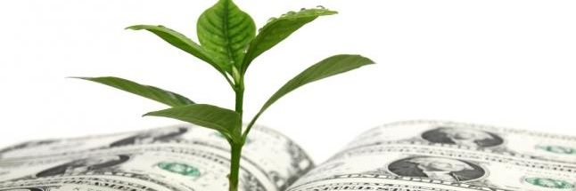RealMJInvestor's profile banner image