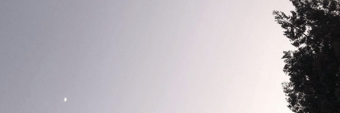kisaki73's profile banner image