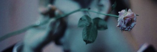 roieku's profile banner image