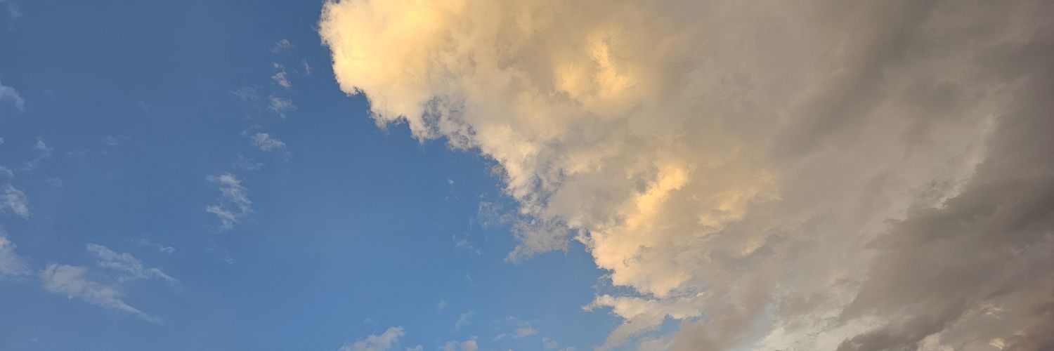 LihamSayo's profile banner image