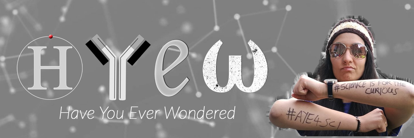 HaveYouEverWondered 🤔 banner