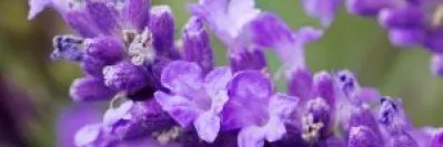 sajit89's profile banner image