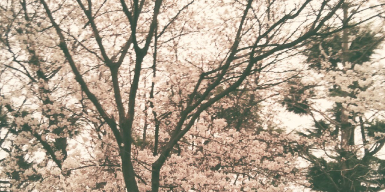 lhy0316's profile banner image