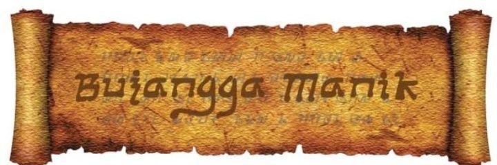 panjigalon's profile banner image