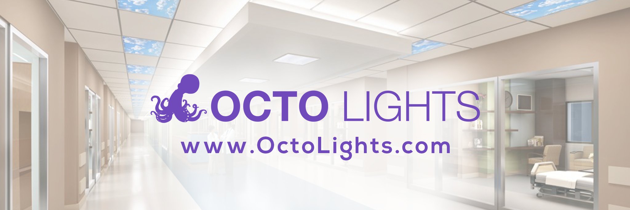 OctoLights's profile banner image