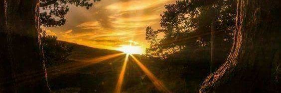 walid_othmane's profile banner image