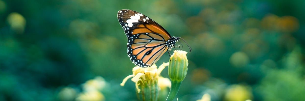 rahulpawar815's profile banner image