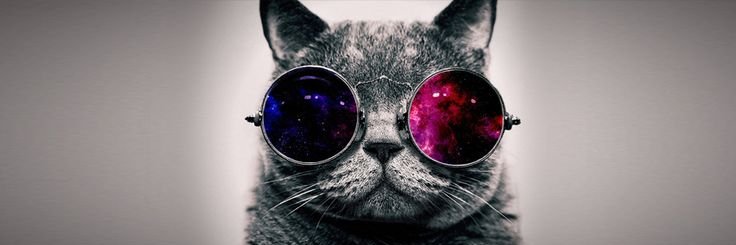 ChatonVilliers's profile banner image