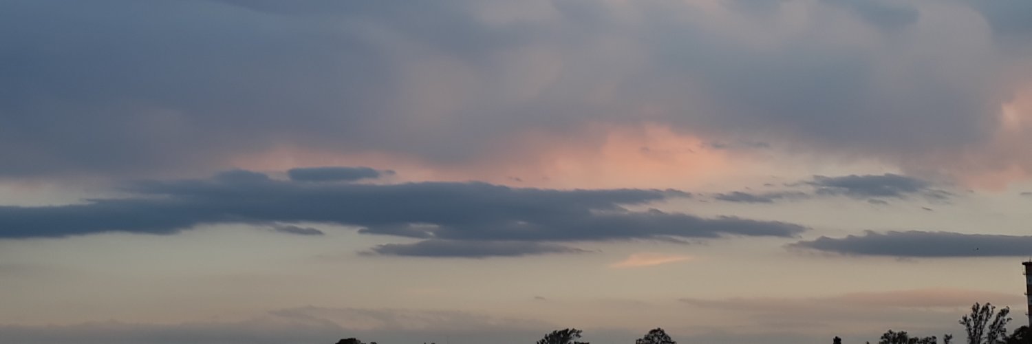 rdz_guada's profile banner image