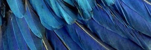 PomolovaD's profile banner image