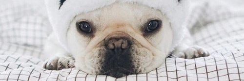 Entangadisimx's profile banner image