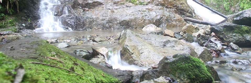 cleiberpn's profile banner image