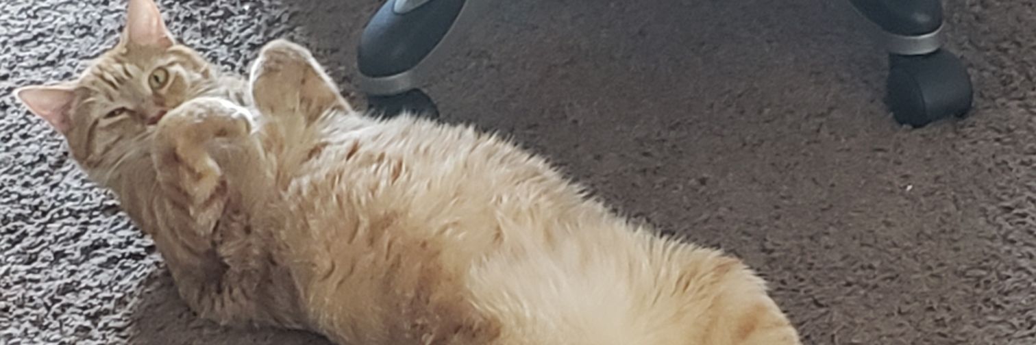 Texmin banner