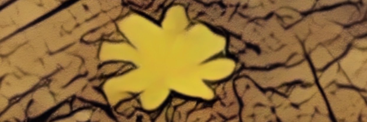 86xxm's profile banner image