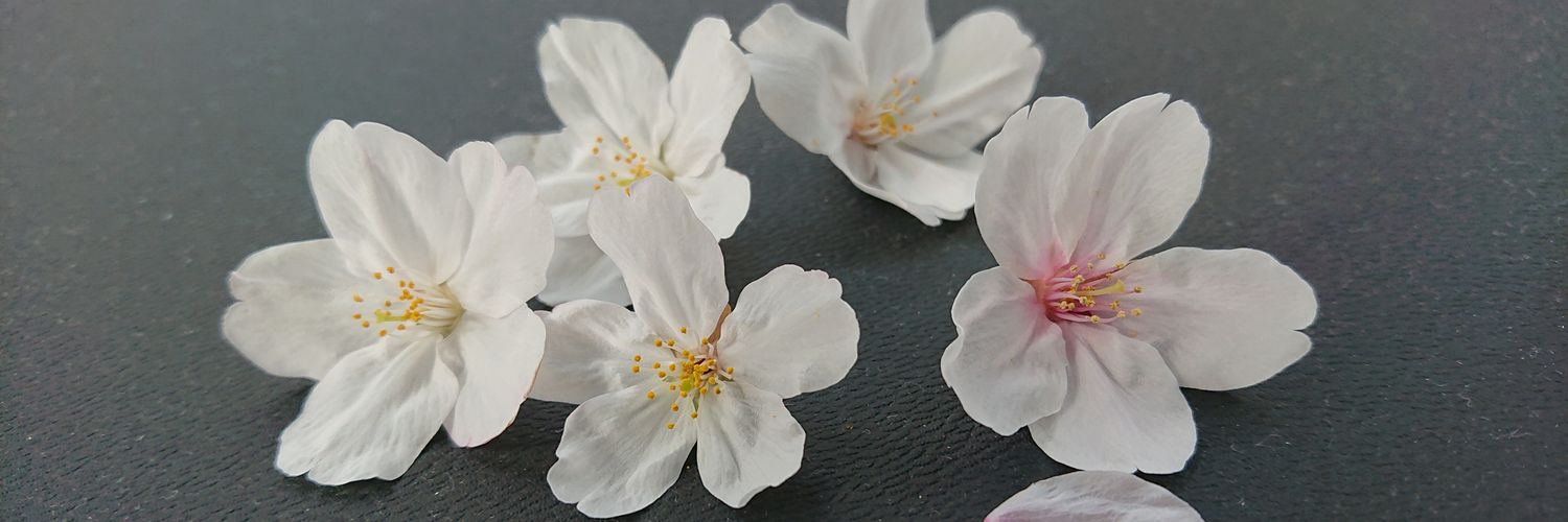 beeline55's profile banner image