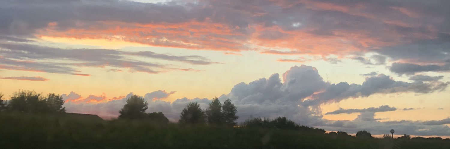nancymtze's profile banner image