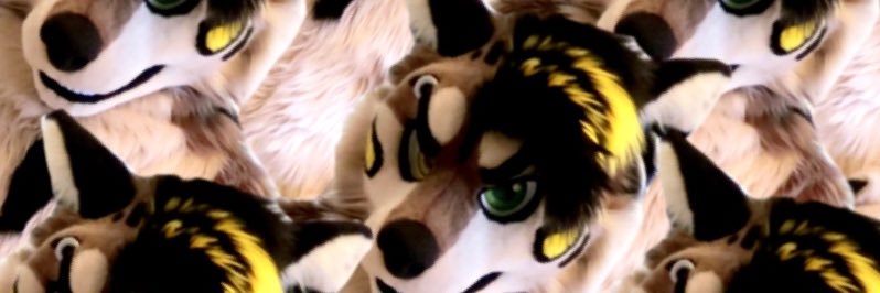 DoggoNose's profile banner image