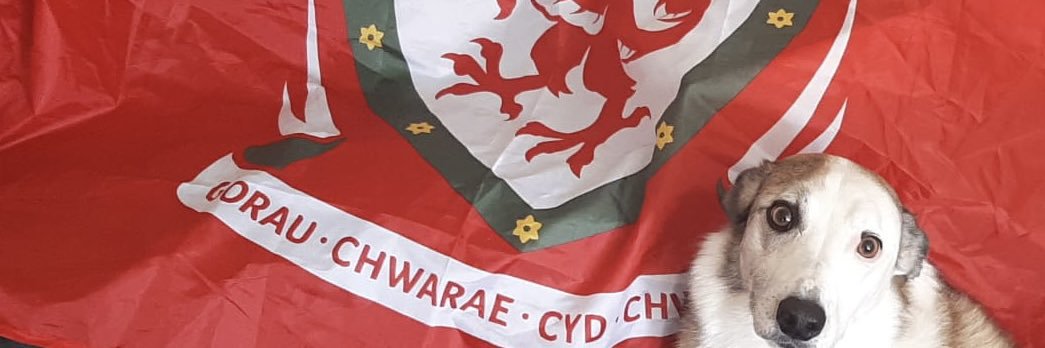 MafHughes's profile banner image